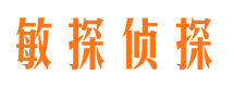 宿松市侦探调查公司